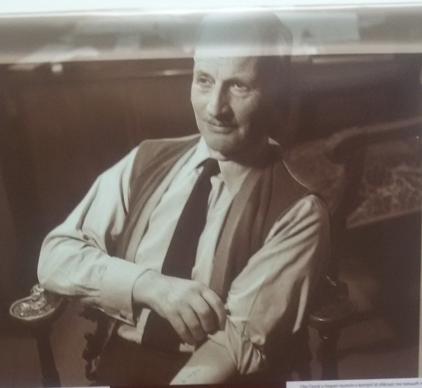 таткото на Ана